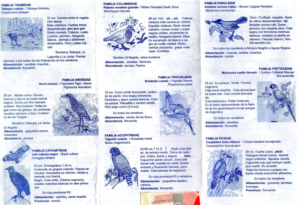 tipos de aves parque nacional calilegua